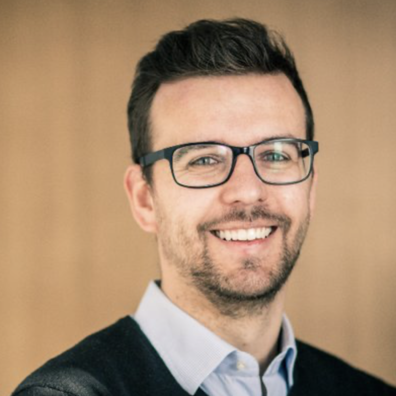 Prof. Dr. Dominik Böhler (THD)